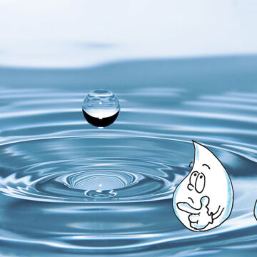 Was bedeutet „Wasser“ als Informationsträger für uns.