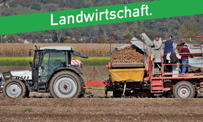 Die Landwirtschaft.